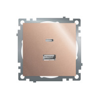 Розетка 2-местная USB + type C Stekker Катрин GLS10-7116-02 50056