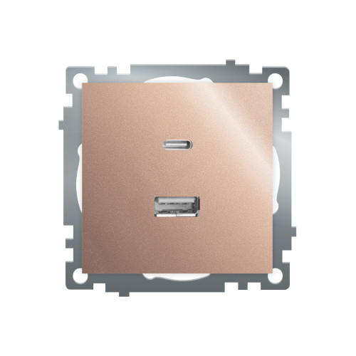 Розетка 2-местная USB + type C Stekker Катрин GLS10-7116-02 50056