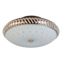 Накладной светильник Toplight Loreen TL1491Y-04GC