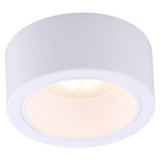 Потолочный светильник Arte Lamp Effetto A5553PL-1WH