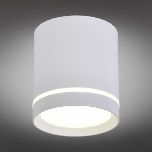 Накладной светильник Omnilux Capurso OML-102409-05