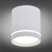 Накладной светильник Omnilux Capurso OML-102409-05