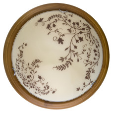 Настенно-потолочный светодиодный светильник Toplight Irene TL9630Y-00OA