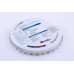Светодиодная лента DesignLed DSG560-12-W-33 000513