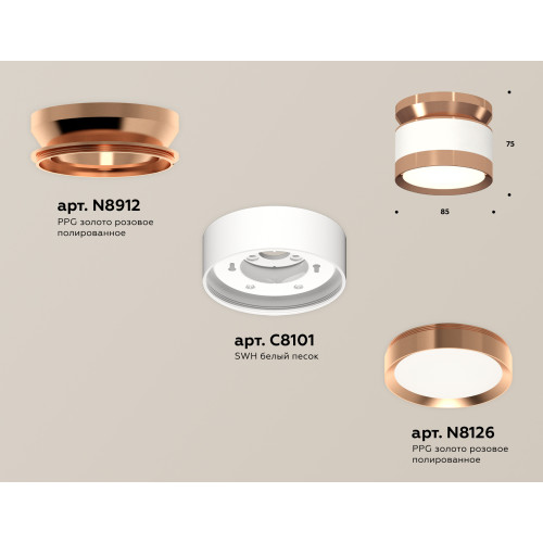 Потолочный светильник Ambrella Light Techno Spot XS8101065 (N8912, C8101, N8126)