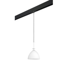 Трековый светильник Lightstar Agola PRO810020 (810020+595007)
