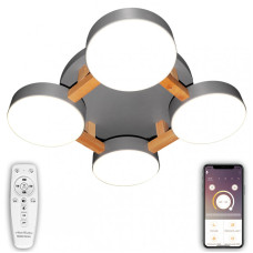 Потолочный светильник Natali Kovaltseva LED LAMPS 81326