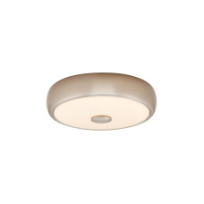 Накладной светильник Citilux CL706321