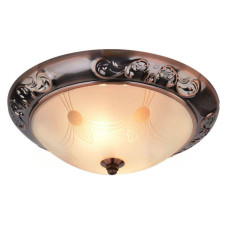 Потолочный светильник Arte Lamp 28 A3014PL-2AC