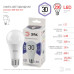 Лампа светодиодная Эра E27 30W 6000K LED A65-30W-860-E27 Б0048017