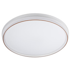 Потолочный светильник Эра SPB-6-80-RC Solar RGBD Б0054483