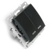 Выключатель 2-клавишный с индикатором Stekker Эрна PSW10-9102-03 49147