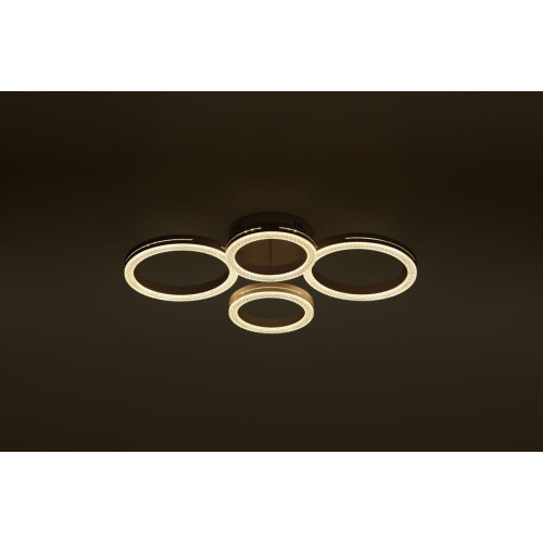 Потолочный светильник Rivoli Juniper 6187-702