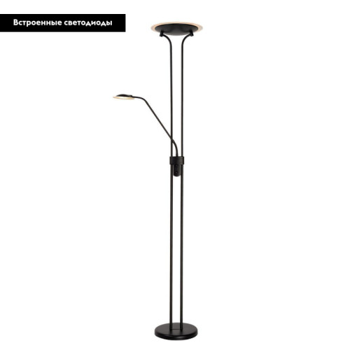 Торшер Lucide Champion Ac Led 19792/24/30