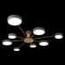 Потолочная люстра Loft IT Sunrise 10316/8 Grey