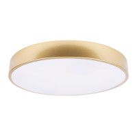 Потолочный светильник Loft IT Flims 10228/A