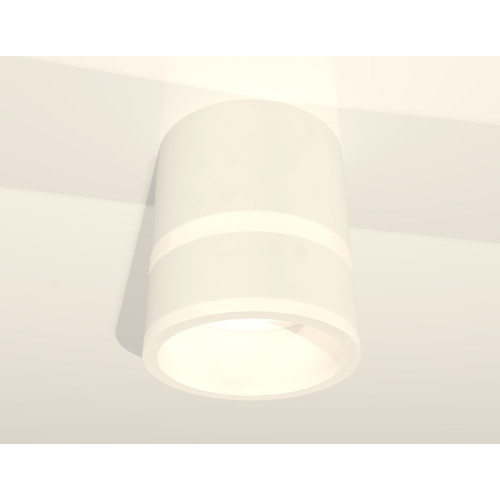 Потолочный светильник Ambrella Light Techno Spot XS8110005 (C8110, N8444)