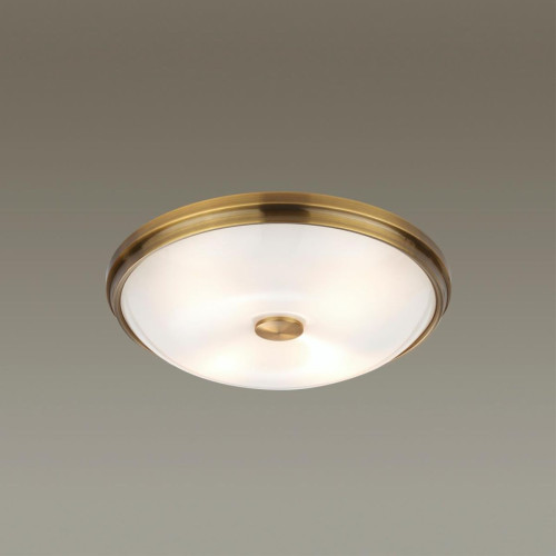 Настенно-потолочный светильник Odeon Light Pelow 4956/4