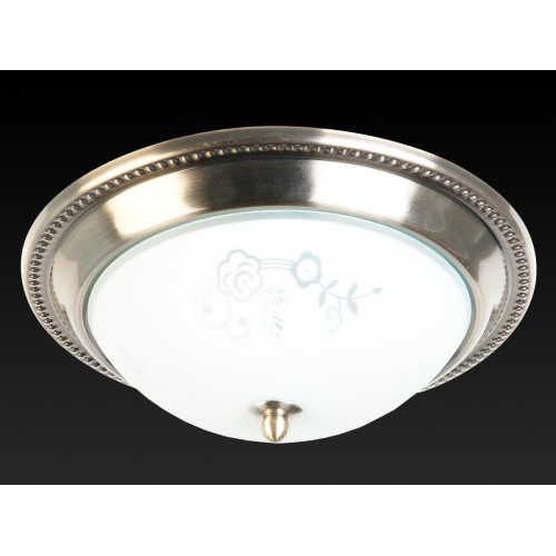 Накладной светильник Toplight Molly TL5020Y-02AB