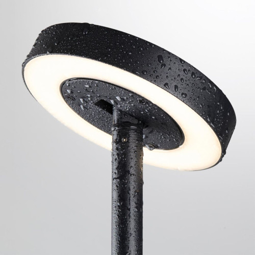 Ландшафтный светильник Odeon Light Nature Disc 7189/6GL