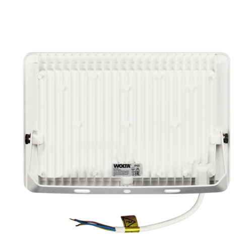 Прожектор WOLTA WFL-100W/06W