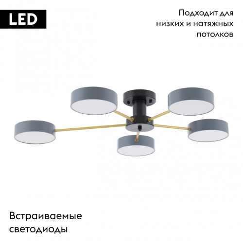 Потолочная люстра Arte Milano Ferrara 252006/5 Bk/Gr