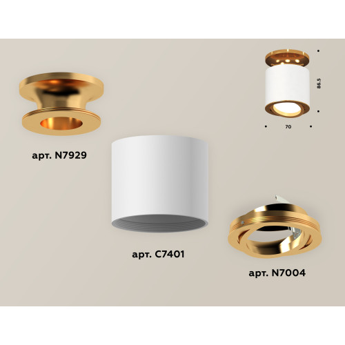 Накладной поворотный светильник Ambrella Light Techno XS7401120 (N7929, C7401, N7004)