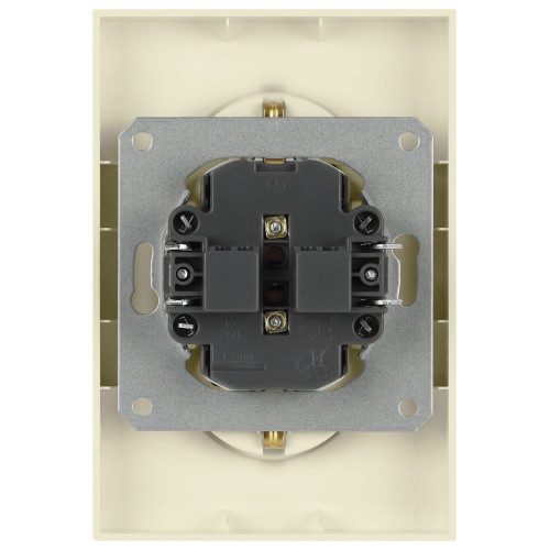 Розетка Эра Galaxy 15-2105-02 с заземлением двойная 2X2P+E Schuko со шторками IP20 16А-250В слоновая кость Б0070699