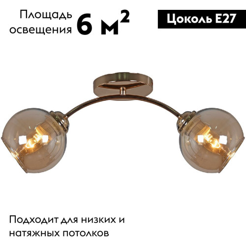 Потолочная люстра Reluce 01538-0.3-02 FGD