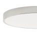 Потолочный светильник Zortes Tortty ZRS.02565.96