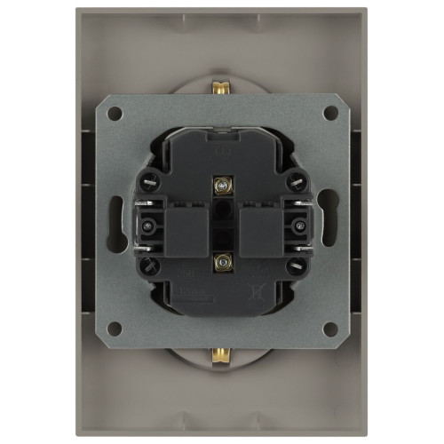 Розетка Эра Arktik 16-2107-07 без заземления двойная 2X2P 16А-250В титан Б0071687