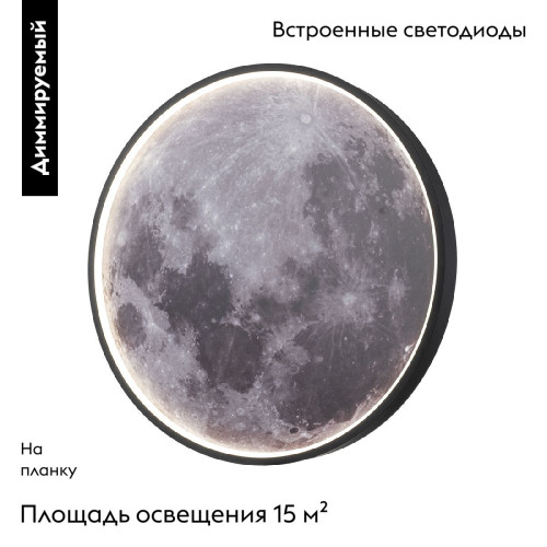 Настенно-потолочный светильник Escada Planet 10226/SG LED Mars