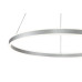 Подвесная люстра Indigo Galass 14001/1P Silver V000018L