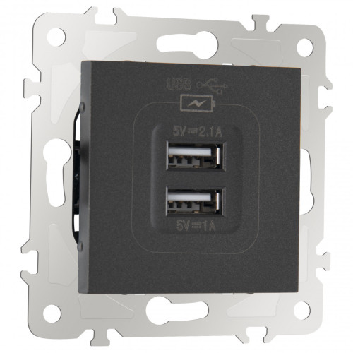 Розетка USB 2.1А+1А Arte Milano 203.46-1.black