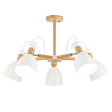 Потолочный светильник EVOLUCE BALCAMO SLE103802-05