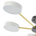 Потолочная люстра Arte Milano Ferrara 252006/5 Bk/Wh