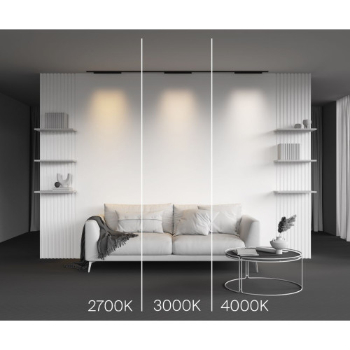 Трековый магнитный светильник Maytoni Points TR193-1-20W3K-M-B