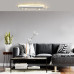 Потолочный светильник Escada 20047led 20047SMA/02LED WH Потолочный светильник Escada 20047led 20047SMA/02LED WH