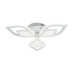 Потолочная люстра Escada Anise 10288/6LED