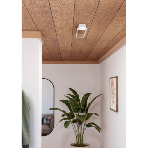 Потолочный светильник Eglo Collecorvino 902152