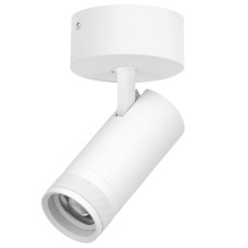 Накладной светильник 20-55G с адаптером Lightstar Canno Pro C4206SO