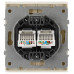 Розетка Эра Arktik 16-3108-04 информационная двойная 2XRJ45 шампань Б0070487