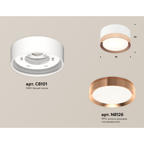 Потолочный светильник Ambrella Light Techno Spot XS8101006 (C8101, N8126)