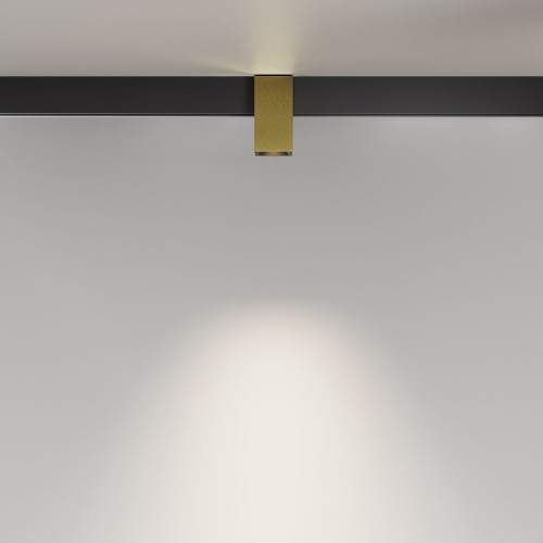 Трековый магнитный светильник Maytoni Alfa TR121-4-7W-DS-BS
