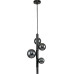 Подвесная люстра Indigo Canto 11026/5P Black V000238