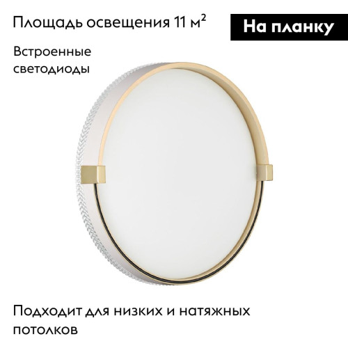 Настенно-потолочный светильник Sonex Olidi white 7646/CL