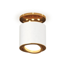 Накладной поворотный светильник Ambrella Light Techno XS7401120 (N7929, C7401, N7004)