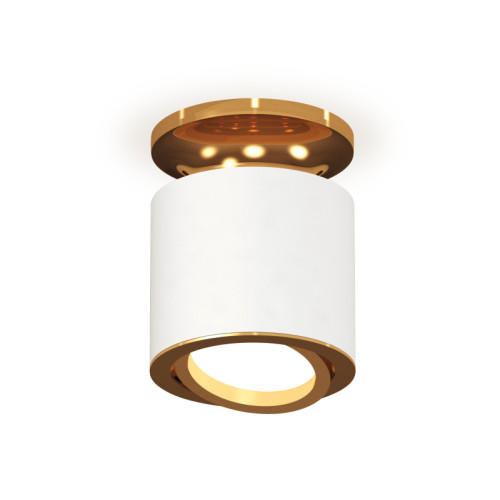 Накладной поворотный светильник Ambrella Light Techno XS7401120 (N7929, C7401, N7004)