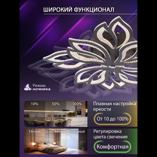 Потолочная люстра Natali Kovaltseva Fortuna LED LAMPS 81107/7C