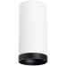 Накладной светильник Lightstar Rullo R64863487 (216486+203487)